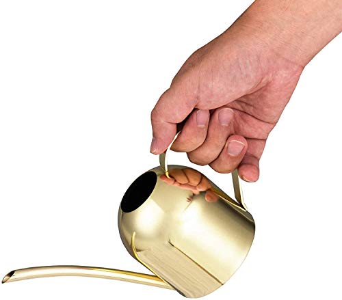 Imeea Gold Watering Can House Watering Can For Indoor Plants Orchid Bonsai Desk Office Stainless Steel Watering Can With Long Spout, 15Oz/450Ml #TOP4