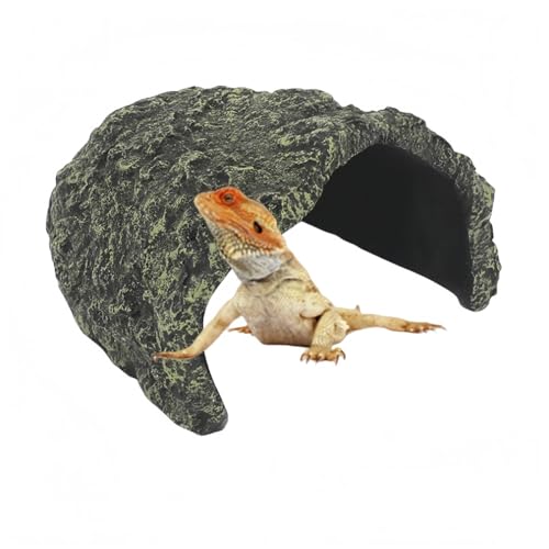 qingshenyi ঒ VF^[ T̕ B  JVF^[ ޗpia{Ȇgݍ킹 (傫ȋT̓A G650)