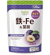 Amazon.co.jp: 紀州産梅ハニップ 590g 1本【希釈ドリンク/梅ジュース