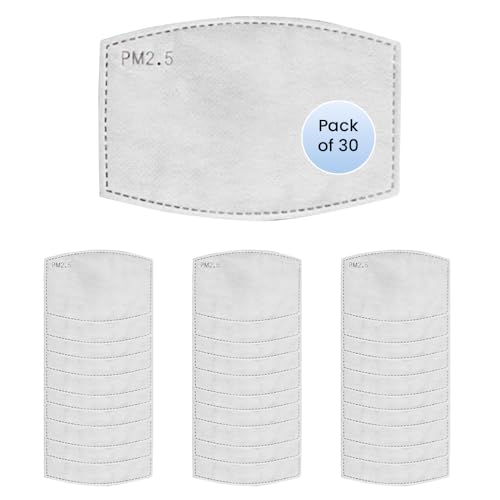 Image of Yugan N99 Filters, Replaceable Refill N99 PM 2.5 Activated Carbon Filter (Pack of 30) (MASK NOT INCLUDED)