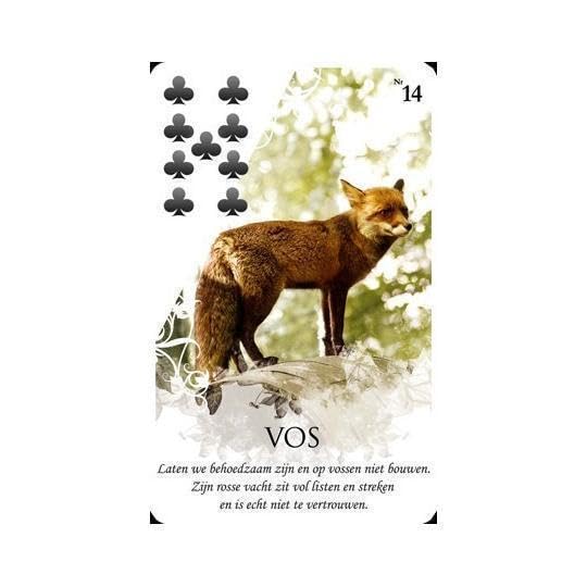 【正規品ルノルマンカード】入手困難 Viona's Lenormand ヴィオナ Amazon.co.jp: 【正規品ルノルマンカード】 入手困難 Viona's