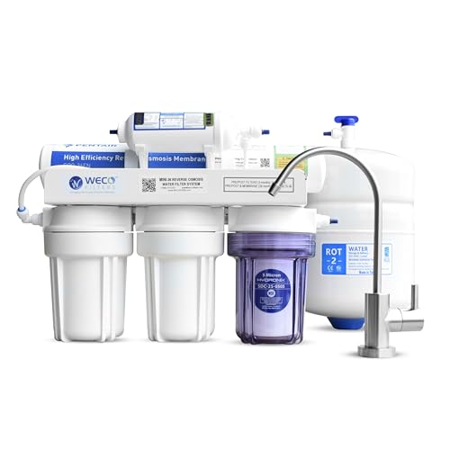 Osmose inverse de précision Weco Mini Compact système de filtration