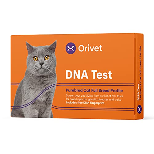 10 Best Cat Dna Test Kit Breed Identification June 2024