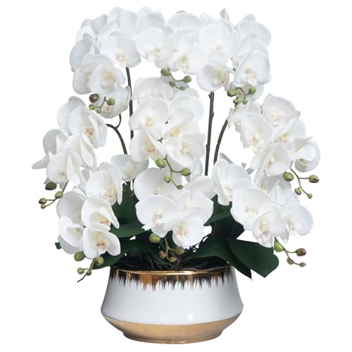 CXGS Real Touch Faux Orchid with Gold-Detailed Ceramic Vase