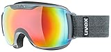 Uvex Downhill 2000 S FM Skibrille, Grey, One Size