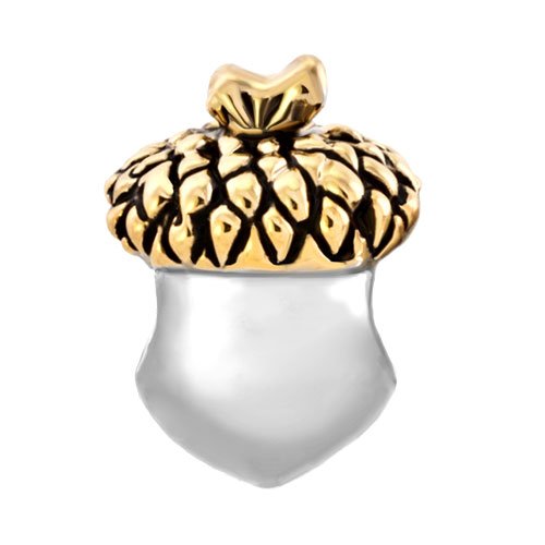 Acorn Charm for Women Mom Daughter Compatible with Pandora Bracelets3
