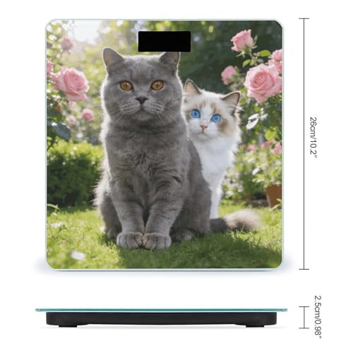 Báscula digital de baño con pantalla LED y plataforma de vidrio templado miniatura 2