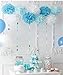 Baby Shower Decorations for Boy It's a Boy Bunting Banner,Oh Baby Balloons,It's A Boy Balloons with Tissue Paper Pom Poms and Paper Lanterns Honeycom Balls for Boy Baby Shower Decor