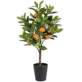 orangenbaum kaufen lidl Nie wieder Gießen - unsere Kunstpflanzen bleiben immer schön und grün