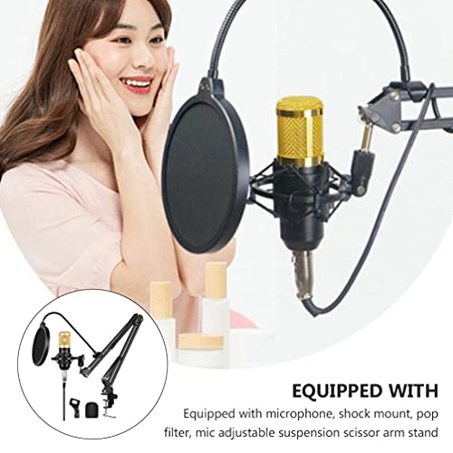 EXCEART Microfone Condensador Cardióide Microfone de Estúdio Profissional Kit Com Braço de Montagem