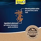 Tetra B000LXV0OG lato 4