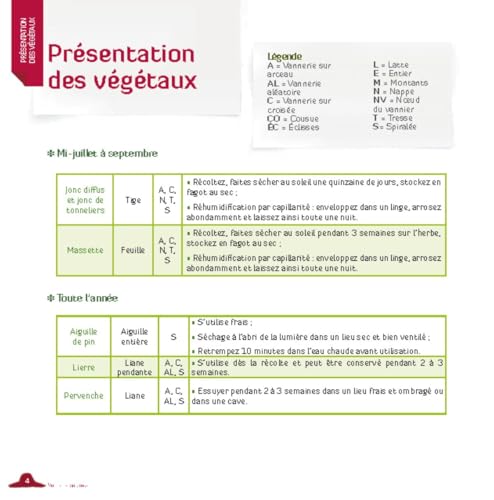 Vannerie bucolique: Je récolte et je tresse les végétaux qui m'entourent – vue 7