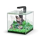Aquarium Aquatlantis Aquarium Kubus 10L
