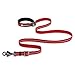 Ruffwear Slackline Leash for Pets, Red Rock