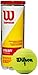 Wilson Championship Tennis Balls (Choose from Extra Duty, Regular Duty, or High Altitude) - 3 Ball Can in Multi-Packs (2-24 Cans Available)