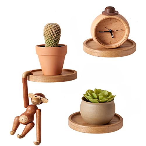 Round Floating Shelves, 3 Pack Solid Oak Deep Floating Shelves For Wall 6'' Diameter Circle Small Plant Shelves Wall Decorfor Bedroom, Living Room, Kitchen #TOP2