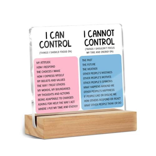 Mental Health Desk Decor Things I Can Control Acrylic Sign,