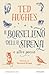 Il Borsellino Della Sirena E Altre Poesie - 3