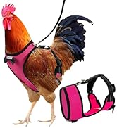 Yesito Chicken Harness Hen Size with 6ft Matching Leash – Adjustable, Resilient, Comfortable, Bre...