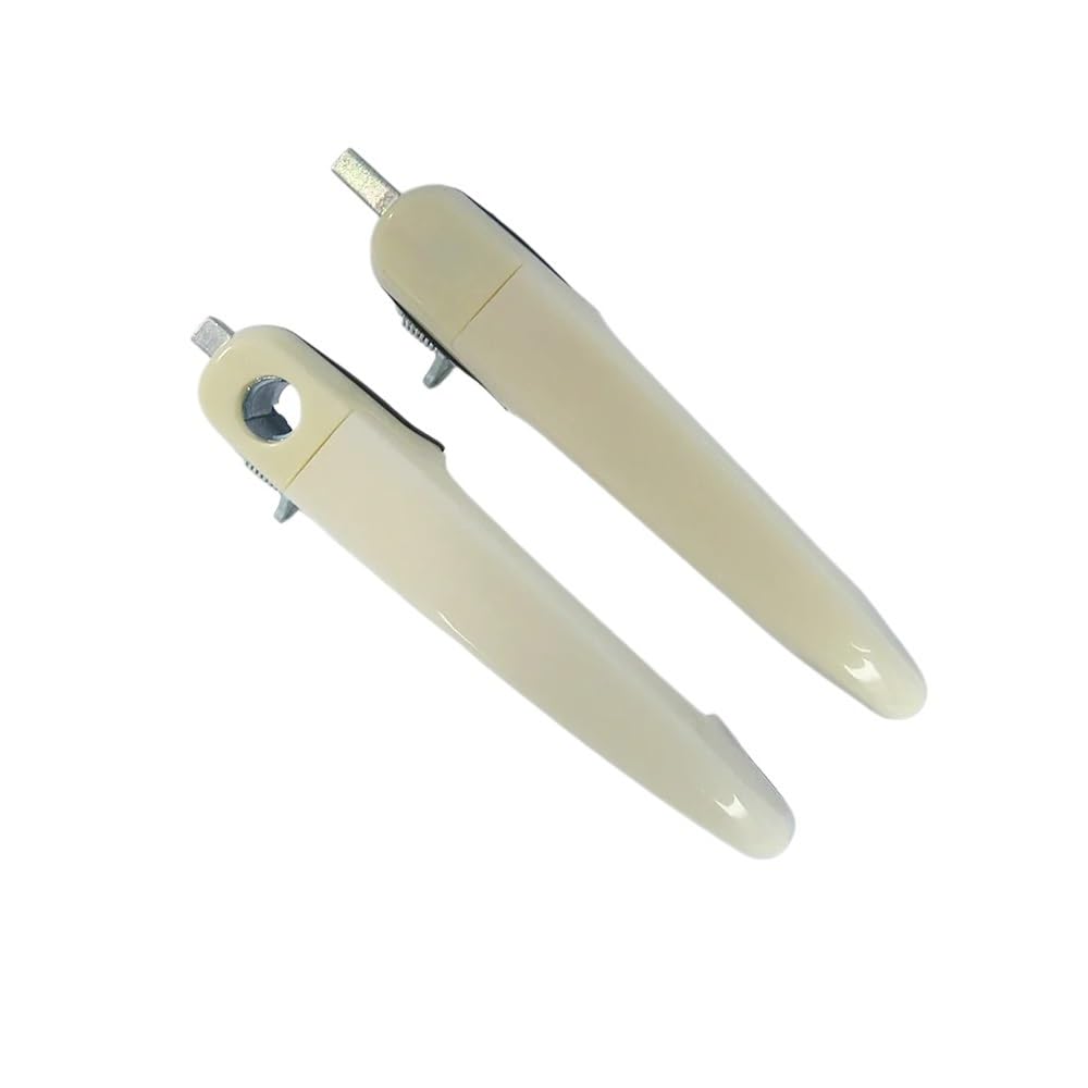 Poignées extérieures voiture HA00-58-410 pièce carrosserie rechange compatible Haima 3