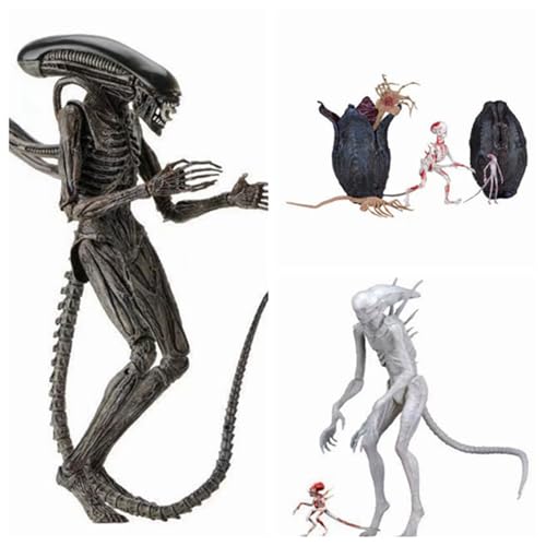 GCA X ObY CeA u  tBMA  PVC GObY Rɉ^ɂł ? f   I[ig i LOi aMtg v[g 蕨 (C)