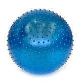 Fun and Function's 28 Inch Tactile Sensory Ball