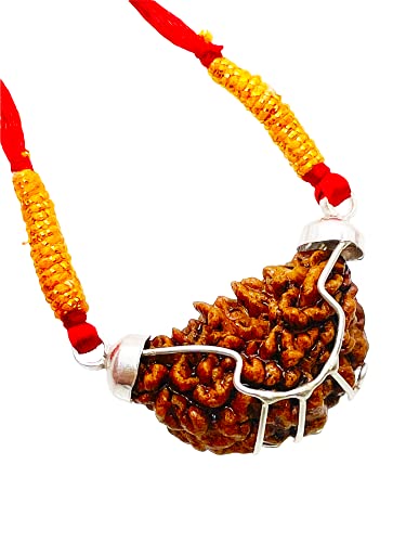 Image of Siddha 1 / One Mukhi Pure Rudraksha, Laboratory Certified, Carefully Capped with Silver Between Indian Beads with Handmade Tassel, Size 28mm-34mm, Color-Brown (1 Mukhi Silver Rudraksha)