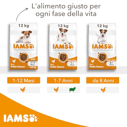 Iams Junior Cibo Secco Per Cani Con Pollo - Cibo Per Cuccioli Da 1 A 12 Mesi, Adatto A Razze Di Piccola E Media Taglia, 3 Kg - 5