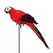 lwingflyer Feather Parrot Artificial Bird for Modern Home Garden Zoo Ornament Decoration Colorful 13.5inch(35cm), Red