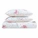 Shabby Chic® - Queen Quilt Set, Reversible Cotton Bedding with Matching Shams, Elegant Floral Home Decor for All Seasons (Chloe Blue, Queen)