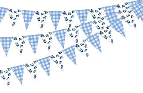 Jollyboom Blueberry Baby Shower Decorations 3pcs Berry Sweet Pennant Banner Triangle Flags Pre-Strung Paper Garland Blue Gingham 8.3 x 5.9 in for Fruit Blueberry Birthday Indoor Outdoor Boy Party