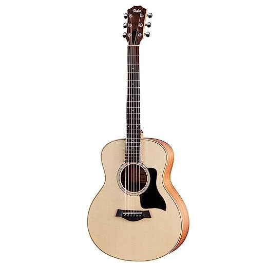 Taylor GS Mini Sapele, Acoustic Guitar