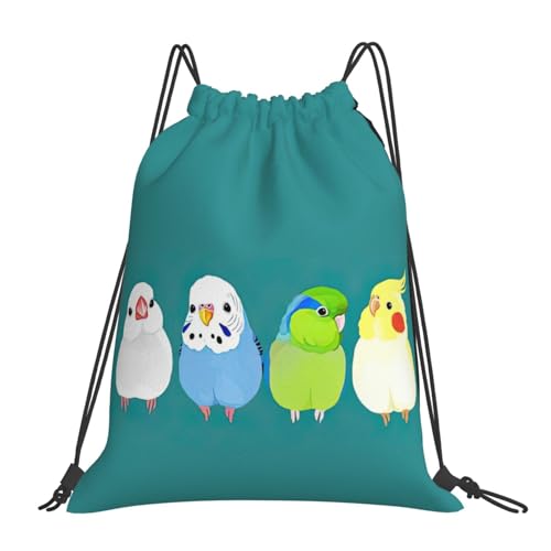 [Raysent] �i�b�v�T�b�N �I�J���C���R ���� �v�[���o�b�O ���j�o�b�O ��e�� �y�� ������� ���[�֗� ���j ���� �^�� ���� ���s �j�����p