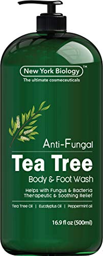 Antifungal Tea Tree Body Wash - HUGE 16 OZ - Helps Nail Fungus