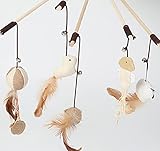Cat Feather Tease Wand Toy Interactive Toys with Bell & 5 Feather Teaser Replacements Mouse Fish Bir