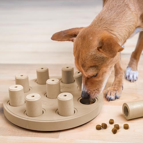 Nina Ottosson por Outward Hound Dog Smart Beginner Dog Puzzle Toy – Jogo de distribuição interativo