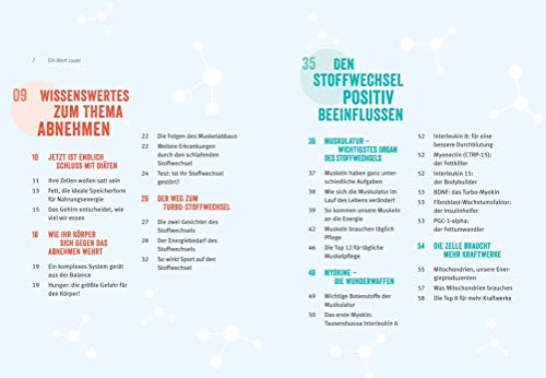 Das Turbo-Stoffwechsel-Prinzip: So stellen Sie den...