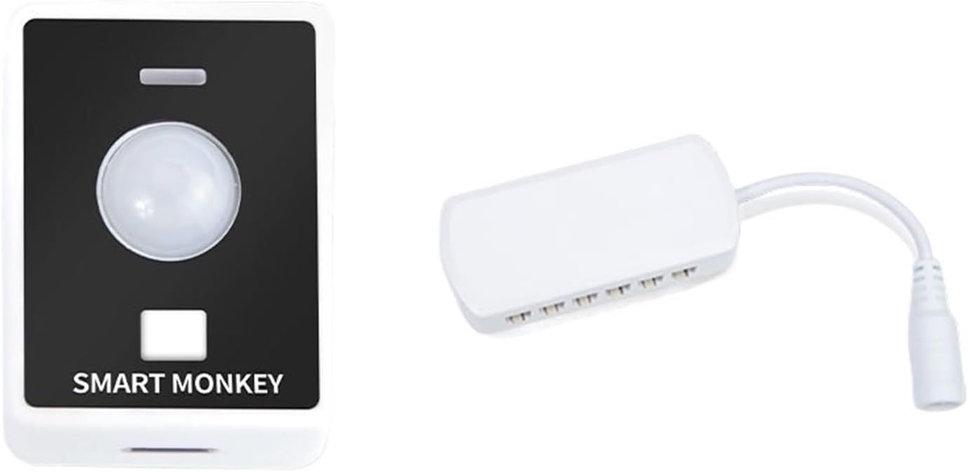 Led Induction lamp with Low Voltage cob lamp with Home Smart led lamp self-Adhesive Soft Light Strip Aisle Living Room Atmosphere Light (Size : Touch+Receiver)