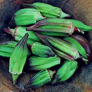 Generic RIC 1: 20pcs / Bag Semi di Zucca Cucurbita rari legare dell'oro Zucca maturo organico Bonsai ortaggio strisciante Frutta Giardino pianta facile Grow 1: Only Seeds