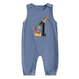 Lamuusaa Toddler Baby Boy Birthday Outfit Sleeveless One Embroidery Birthday Romper Corduroy Jumspuit Cake Smash Outfits (Blue, 12-18 Months)