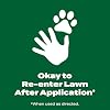Scotts Green Max Lawn Food - Lawn Fertilizer for Grass Plus Iron Supplement, 10,000 sq. ft., 33.33 lbs.