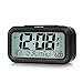 Peakeep Digital Dual Alarm Clock with Snooze and Nightlight, Battery Operated for Travel