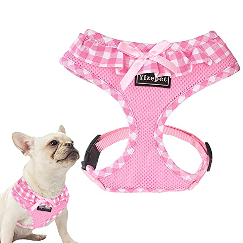 cute large dog harness