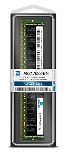 Brute Networks A8217683-Bn - 32Gb Ddr4-2133Mhz 2Rx4 Ecc Registered Rdimm (Compatible With Oem Pn# A8217683) #TOP2