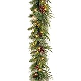 National Tree Company 9 ft Pre-Lit Colonial Fir, Artificial Christmas Garland, Christmas Decoration with Red Berries, Pinecones, 50 Dual Color LED Lights, 220 Tips, 10 Light Functions, Timer, Green