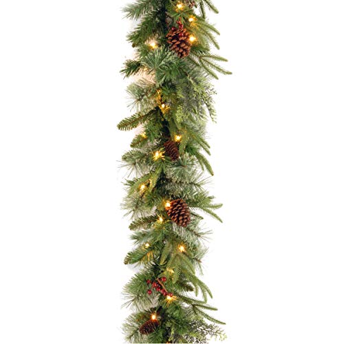 National Tree Company 9 ft Pre-Lit Colonial Fir, Artificial Christmas Garland, Christmas Decoration with Red Berries, Pinecones, 50 Dual Color LED Lights, 220 Tips, 10 Light Functions, Timer, Green