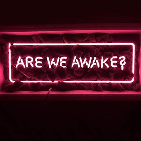LiQi ™ are WE Awake Neon Sign （18.5" x 6"Large）Real Glass Acrylic Panel Handmade for Home Bedroom Pub Hotel Beach Recreational Game Room Decor Cover