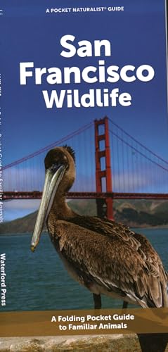 San Francisco Wildlife (Nature Observation North America)