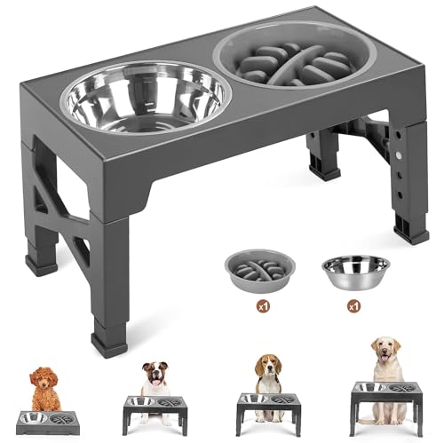 Ciotola rialzata per cani regolabile in 4 altezze, porta ciotole con ciotole in acciaio inossidabile, antiscivolo e alimentatore lento, per cani di taglia piccola, media e grande