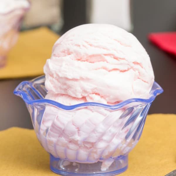 TrueCraftware- 5 oz. Dessert Dish Cups Blue Color Set of 12- Small Plastic Dessert Cups Reusable Serving Bowl for Tasting Party Desserts Appetizers Ice Cream Sundae Bowls for Home Kitchen Restaurants